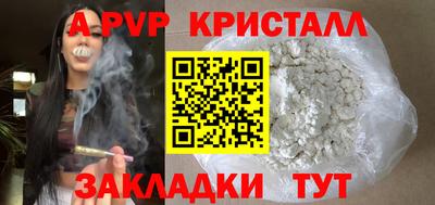 амф Кингисепп