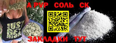 амф Кингисепп