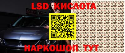 амф Кингисепп