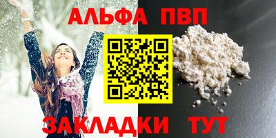 амф Кингисепп