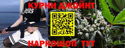 амф Кингисепп