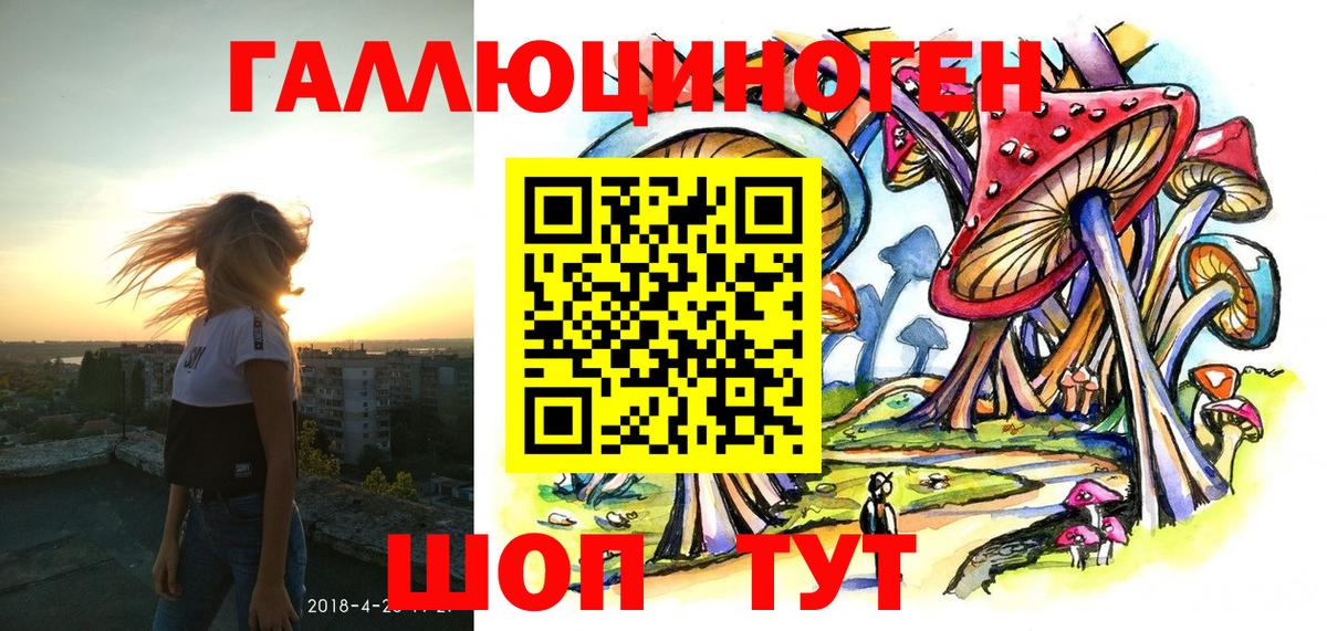 Галлюциногенные грибы Cubensis  Вход с VPN  Красноуфимск 