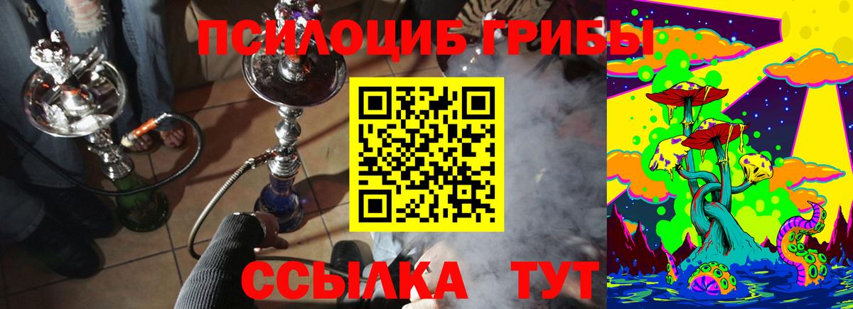 Галлюциногенные грибы Cubensis Красноуфимск